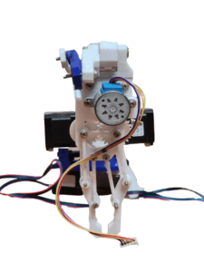 2 removebg preview 225x300