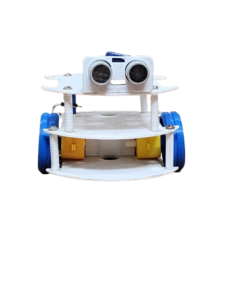 LF1.3 removebg preview 225x300