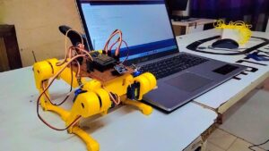 WhatsApp Image 2023 05 27 at 12.33.41 AM 300x169